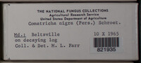 Image Associated With the Occurence